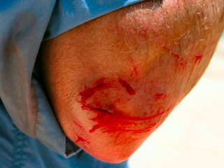 Trachinotus-Africanus