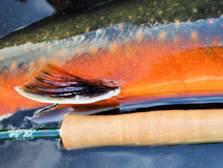 blog-aug-28-2016-4-arctic-char-fishing