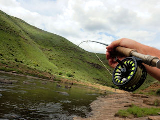 blog-nov-23-2016-3-bauer-reels-winston-rods