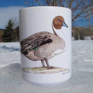 Pintail | Coffee Mug | Jeff Currier
