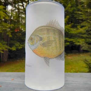 Bluegill | Frosted Mug | Jeff Currier