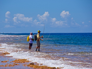 Jeff-Currier-bohar-snapper