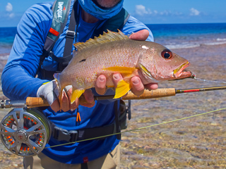 flyfishing-for-snapper