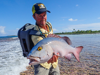 bohar-snapper-jeff-currier