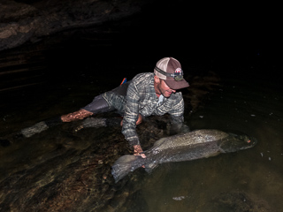 jeff-currier-nile-perch