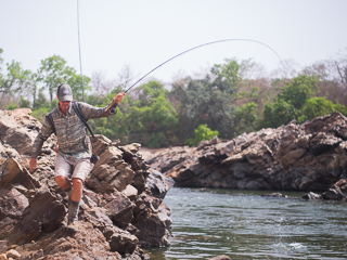 jeff-currier-niger-barb