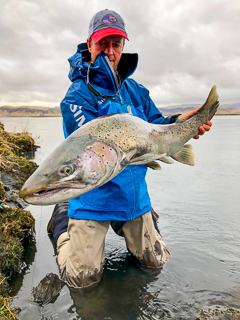 sea-run-brown-trout-currier