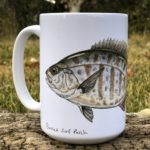 barred-surf-perch-art