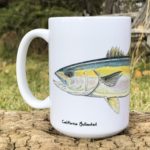 california-yellowtail