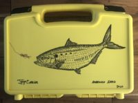 american-shad-art
