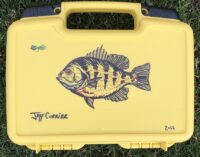 Currier-bluegill-art