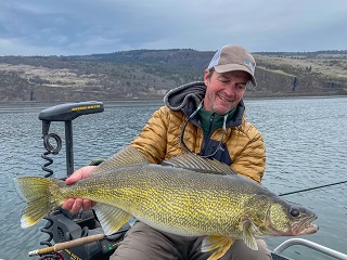 Currier-Walleye