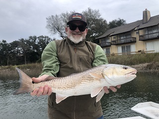 redfish