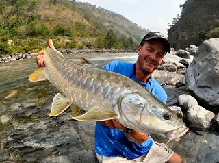 Currier-mahseer