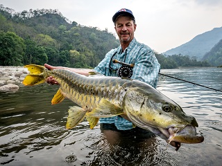 mahseer-currier