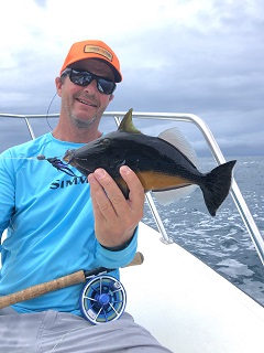 fly-caught-species-Jeff-Currier