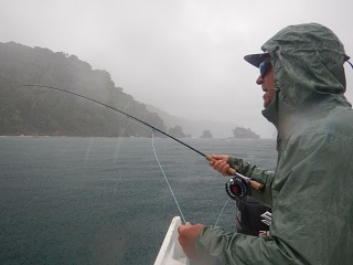 flyfishing-Colombia