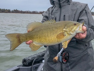 smallmouth