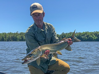muskellunge