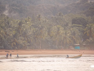 Jess-McGlothlin-photography