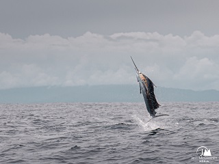 Jess-McGlothlin-photography