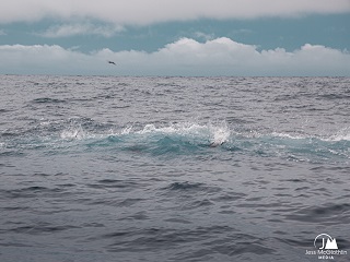 Jess-McGlothlin-photo