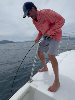 Currier-yellowfin-tuna