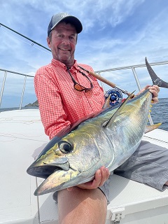 yellowfin-tuna-Currier