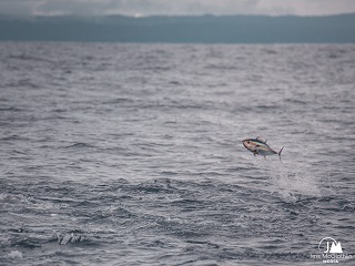 Jess-McGlothlin-flyfishing-photography