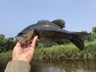 smallmouth-bass
