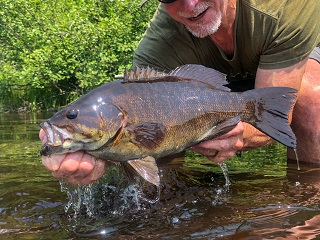 smallmouth-bass