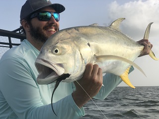 jack-crevalle