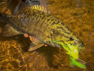 smallmouth-bass-flies