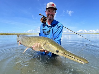 Currier-alligator-gar