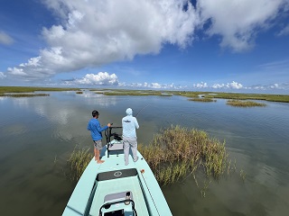 saltwater-flyfishing