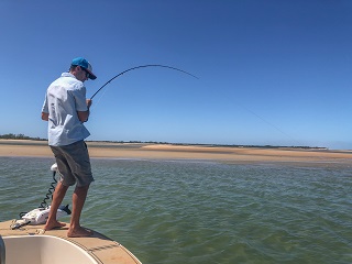 flyfish Australia