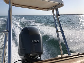 flyfishing-Australia