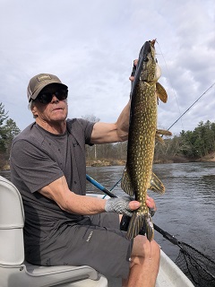 northern-pike