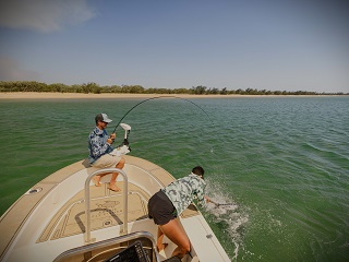 Currier-golden-trevally