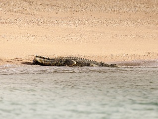 Joshua-Hutchins-photo