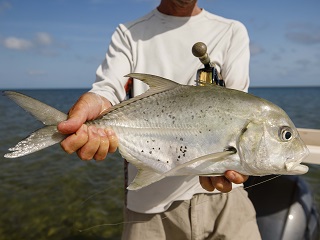 trevally