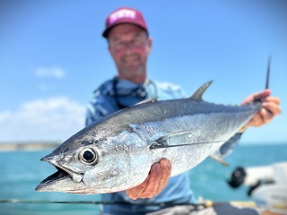 longtail-tuna-Jeff-Currier