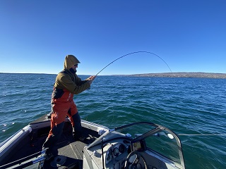 Lake-Superior-brown-trout