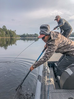 fly-fishing-for-musky