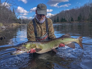 musky-on-fly
