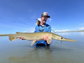 alligator-gar-Currier