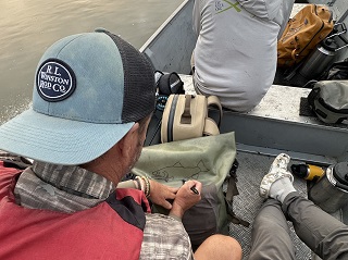 Jeff-Currier-fish-art